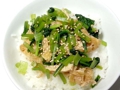 20170918小松菜揚げの丼.jpg