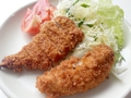 20180509ヒレカツと鶏ささみカツ.jpg
